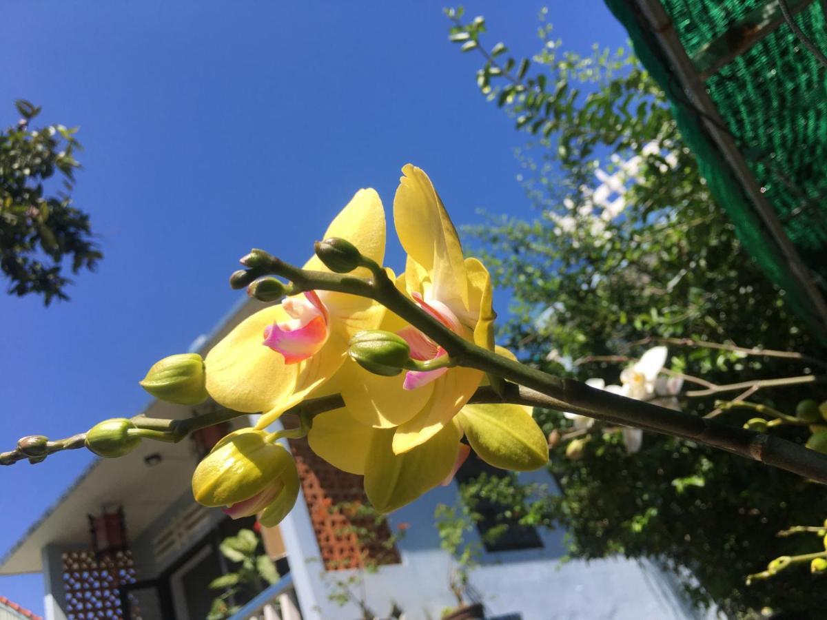 Cherry Garden Homestay Hoi An Exterior photo